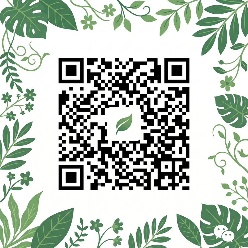 黑丝公众号二维码